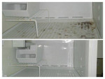 Home Cleaning Services