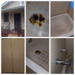 Plumber drain cleaning camera