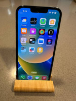 256 GB iPhone 13 Pro Unlocked