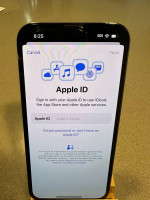 256 GB iPhone 13 Pro Unlocked