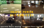 Tile Cleaning, Wood Floor, Laminate, VCT vinyl, Stripping Waxing