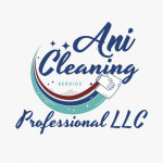 “ANI” Cleaning Professional LLC (Indianapolis, Carmel, Westfield, more