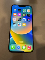 iPhone 13 Pro Max Unlocked use any SIM