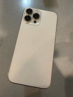 iPhone 13 Pro Max Unlocked use any SIM