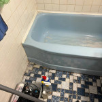 “Cleaning” Queen Services (Steger, Matteson, Monee , more)