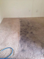✨️✨️ best deals. Carpet,.tile. Upholstery steam cleaning special