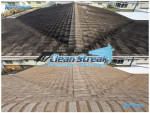 Pressure Washing SOFT WASH ROOF CLEANING Paver Sealing *PRICE MATCH