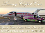 LAST-MINUTE CLEANING! 25-YEAR TRUSTED HOME & CARPET CLEANING EXPERTS