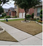 Yard Scalping , winter cleaning, Pre-emergent spray