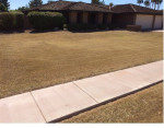 Yard Scalping , winter cleaning, Pre-emergent spray