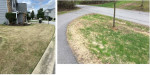 Yard Scalping , winter cleaning, Pre-emergent spray