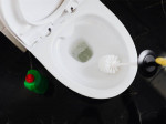 Home and Office Cleaning