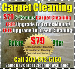 $79 3/Rooms Carpet Cleaning Deal | Same Day Carpet Cleaner