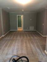 🧼 ALPHA A1 STEAM CARPET CLEANING LLC 🧽 PROFESSIONAL ELITE SERVICE 🧼