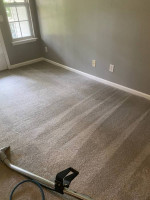 🧼 ALPHA A1 STEAM CARPET CLEANING LLC 🧽 PROFESSIONAL ELITE SERVICE 🧼