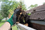 Residential Snow Removal/Gutter cleaning entire Metro