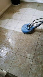 Green Elite Carpet Cleaning