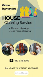 Cleaning service