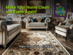 🔴 Professional Carpet & Upholstery Cleaning Services - 904-416-7476