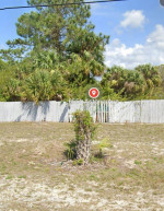 Lot cleaning and gardening