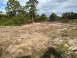 Lot cleaning and gardening