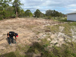 Lot cleaning and gardening