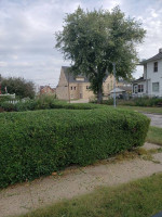 Miguel's yard clean up.mowing.gutter.cleaning