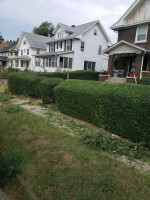 Miguel's yard clean up.mowing.gutter.cleaning