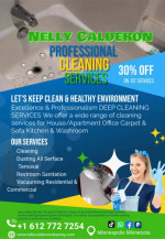 Cleaning services