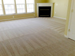 FREE Stair or hallway cleaning with 3 Rooms Carpet Deep Clean $139