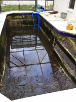 Pool Cleaning/Repair, Screen, Seal Pavers, Roofing, Pressure Cleaning