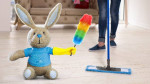 Rainbow Cleaning Services - 843-452-4255 Serving All Tri-County Areas