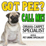 ⭐$99 FEBRUARY CARPET STEAM CLEANING SPECIAL⭐ HIGH-RISE SPECIALISTS ⭐