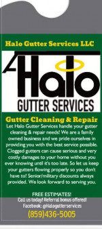 Gutter Cleaning and Repair