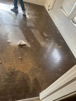 Carmen’s house cleaning. 15yrs+ in experience. Free estimate