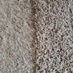 MOVE IN/OUT Matted Carpet Texture Restoration w/Carpet Cleaning
