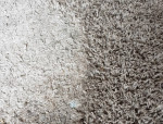 MOVE IN/OUT Matted Carpet Texture Restoration w/Carpet Cleaning