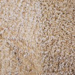 MOVE IN/OUT Matted Carpet Texture Restoration w/Carpet Cleaning