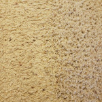 MOVE IN/OUT Matted Carpet Texture Restoration w/Carpet Cleaning