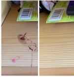 House cleaning
