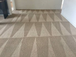 Carpet cleaning