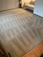 Carpet cleaning