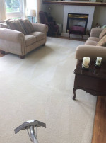 Carpet cleaning