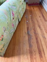 Cleaning service