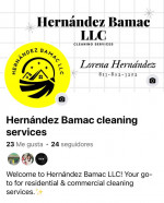 Cleaning service