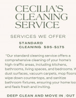Cleaning service