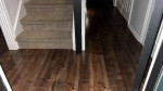 “ANI” Cleaning Professional LLC (Indianapolis, Carmel, Westfield, more