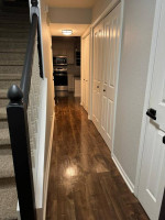 “ANI” Cleaning Professional LLC (Indianapolis, Carmel, Westfield, more