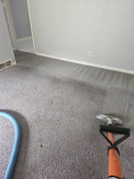 »»»Professional Carpet, Tile Cleaning & Water Extraction ☎ «««