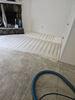 »»»Professional Carpet, Tile Cleaning & Water Extraction ☎ «««